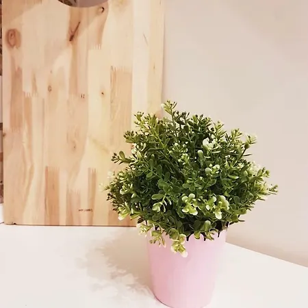 Apartament Alexis *